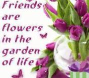 flowers are friends